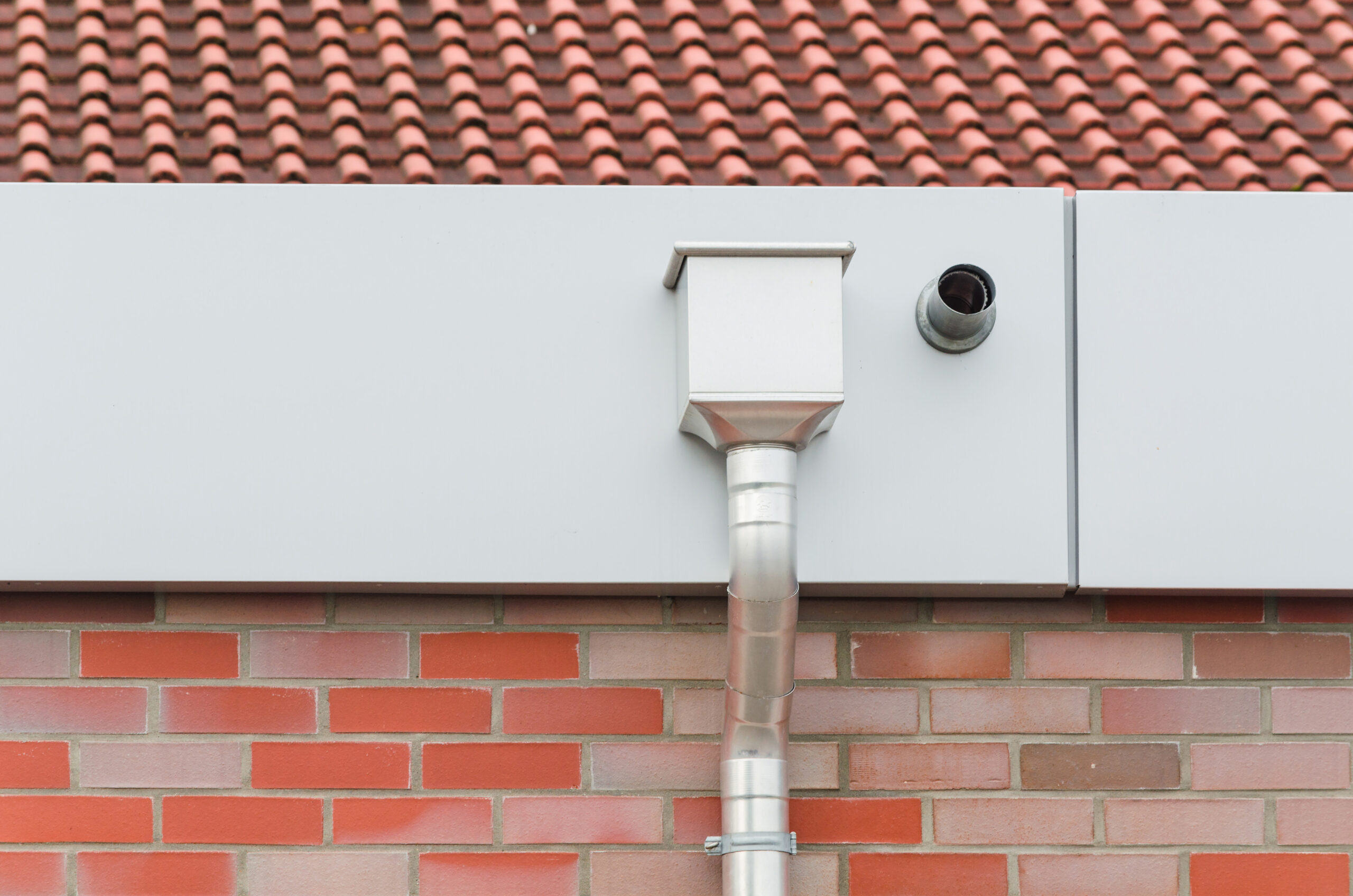 Rain gutter downspout filter