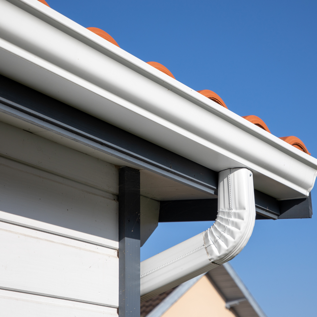 Rain gutter water collector