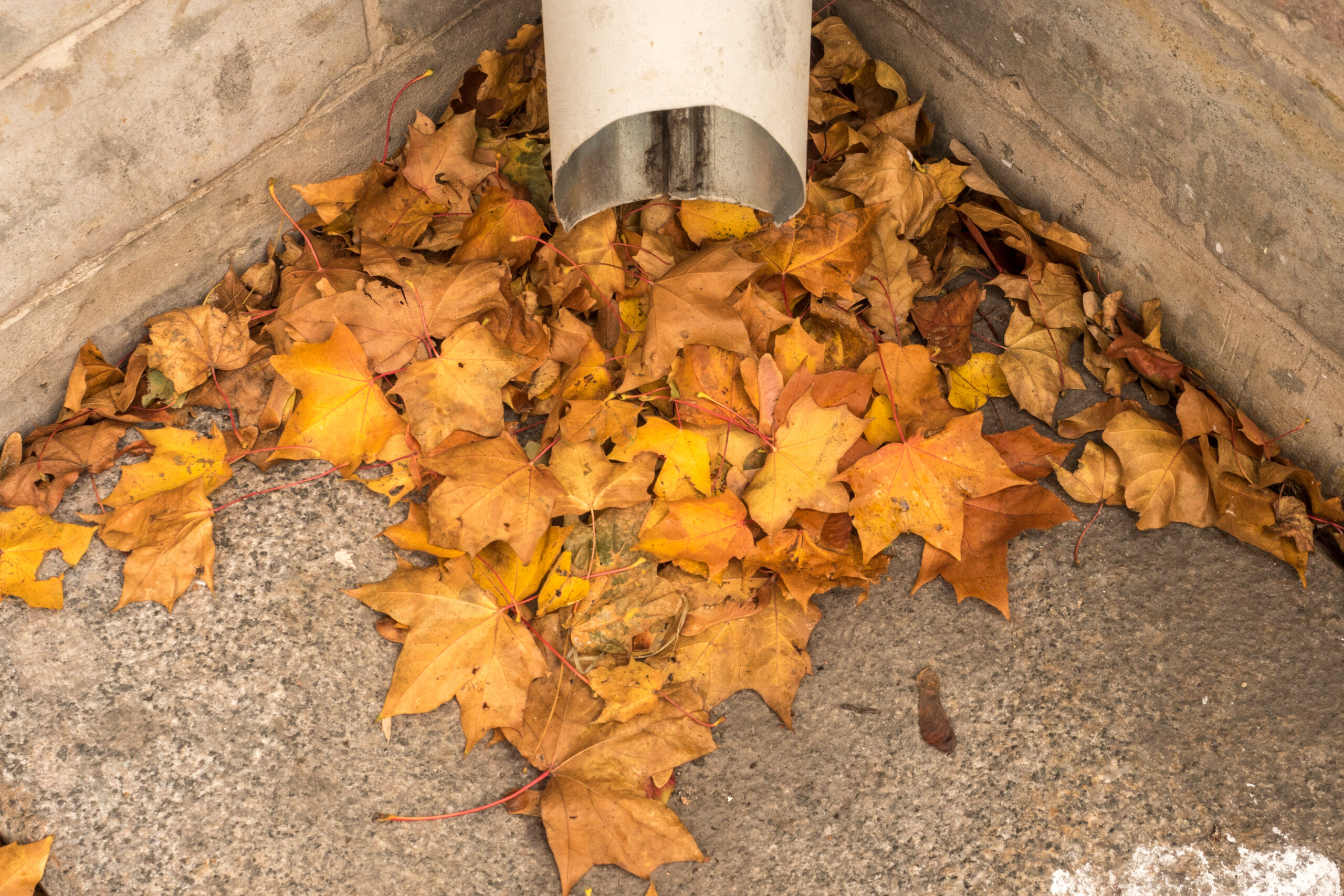 Clean Clogged Gutters